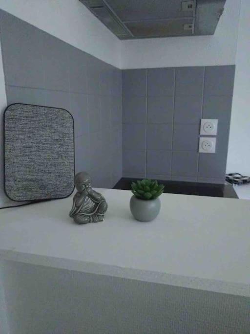 Metz Muse Studio 4 Couchages Eksteriør billede